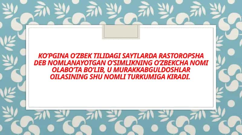 Olabuta (Silybum) Turkumi 1