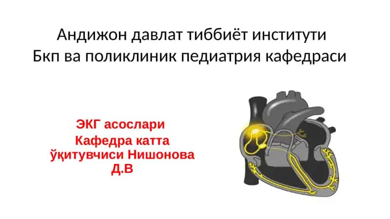 ЭКГ асослари 1