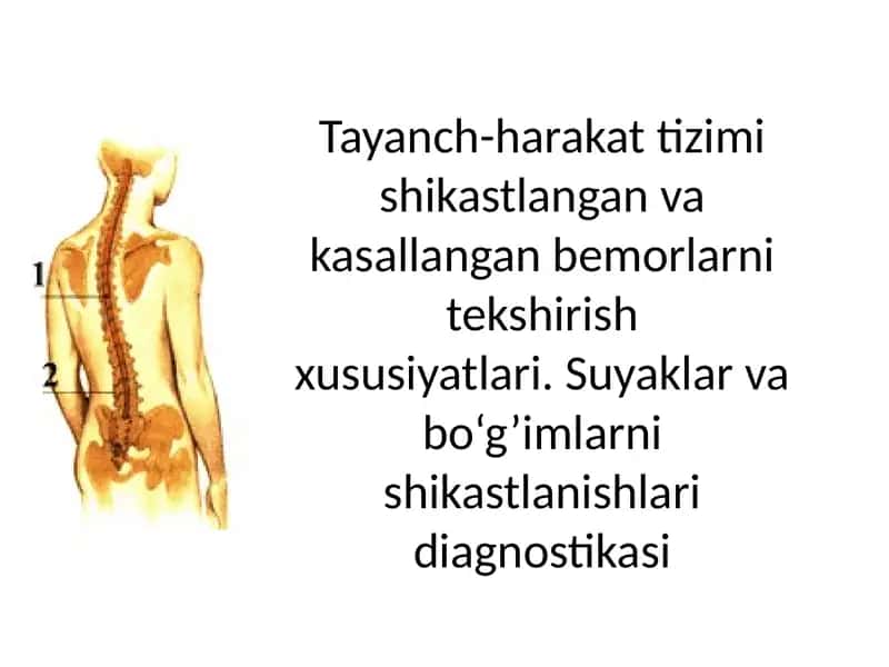 Tayanch-harakat 1