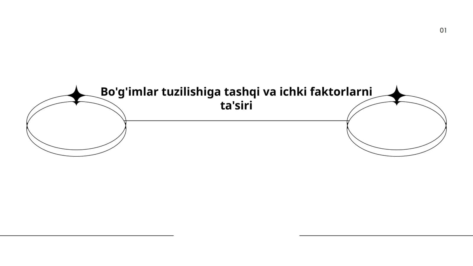 Bo'g'imlar tuzilishiga tashqi va ichki faktorlarni ta'siri 1