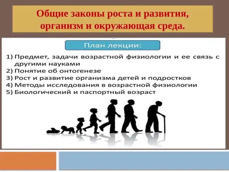 Общие законы роста и развития, организм и окружающая среда 1