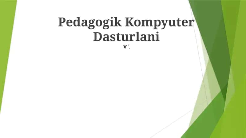 Pedagogik Kompyuter Dasturlani 1
