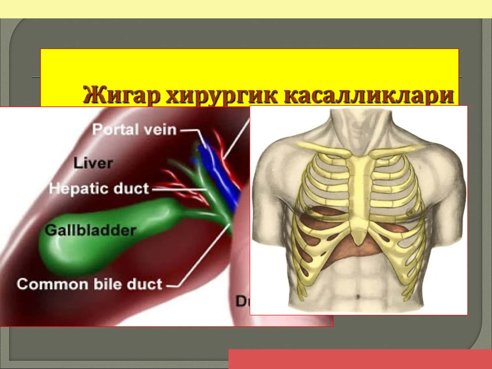 Жароҳатлар турига қараб 1