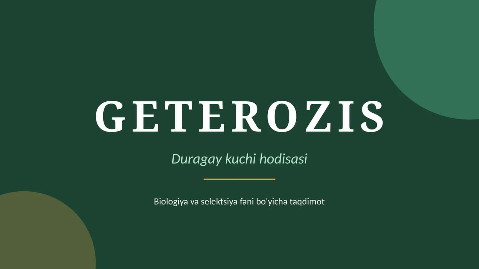 GETEROZIS 1