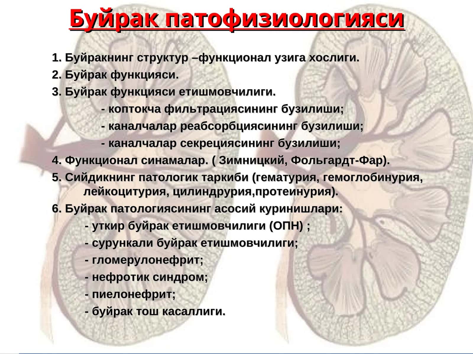 Буйрак патофизиологияси 1
