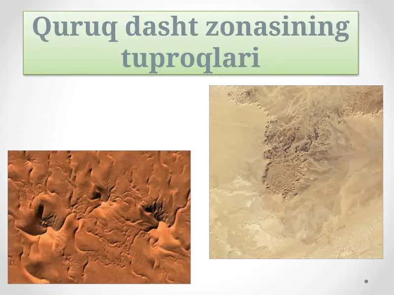 Quruqdasht zonasining tuproqlari 1