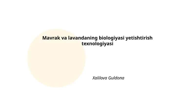 Mavrak va lavandaning biologiyasi yetishtirish texnologiyasi 1