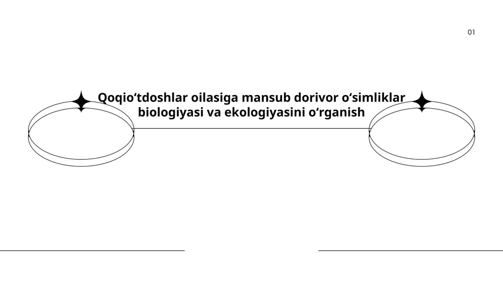 Qoqioʻtdoshlar oilasiga mansub dorivor oʻsimliklar biologiyasi va ekologiyasini oʻrganish 1