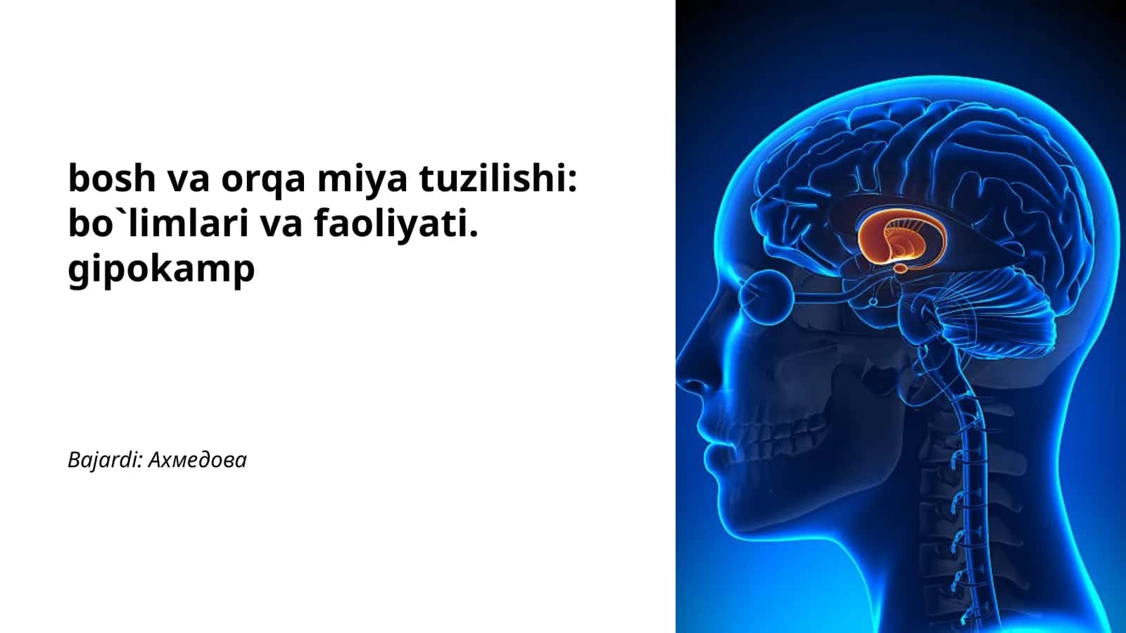 bosh va orqa miya tuzilishi: bo`limlari va faoliyati. gipokamp 1