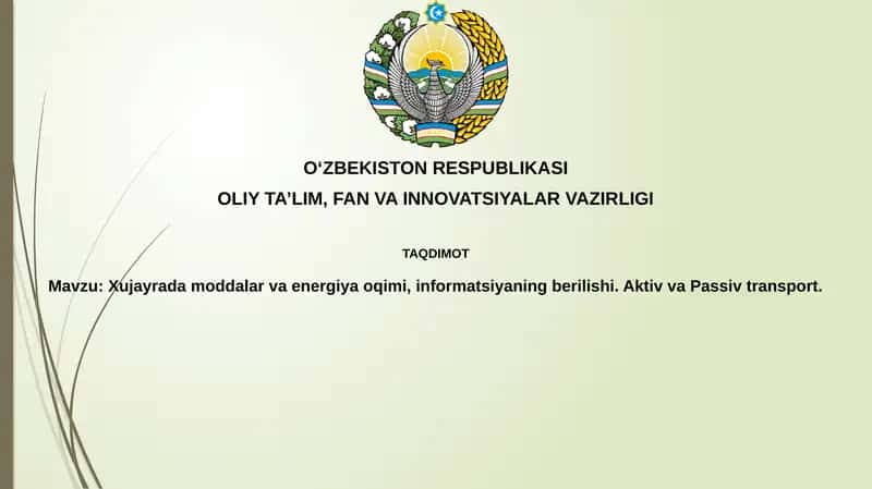 Moddalar va energiya oqimi 1
