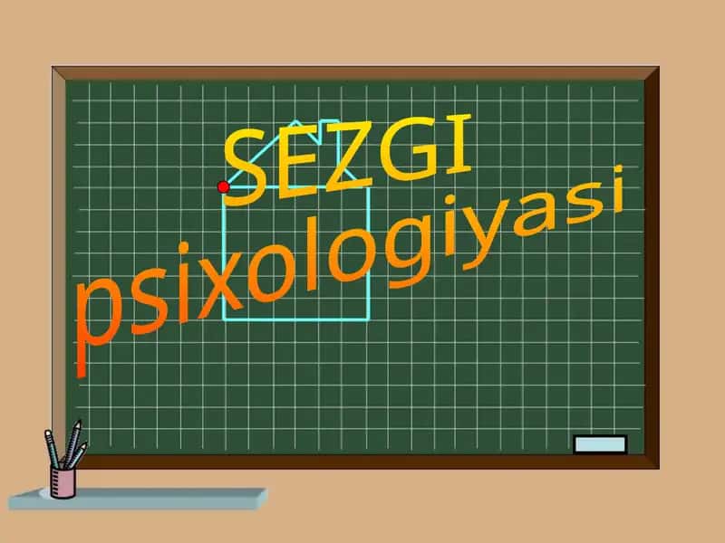 SEZGI 1