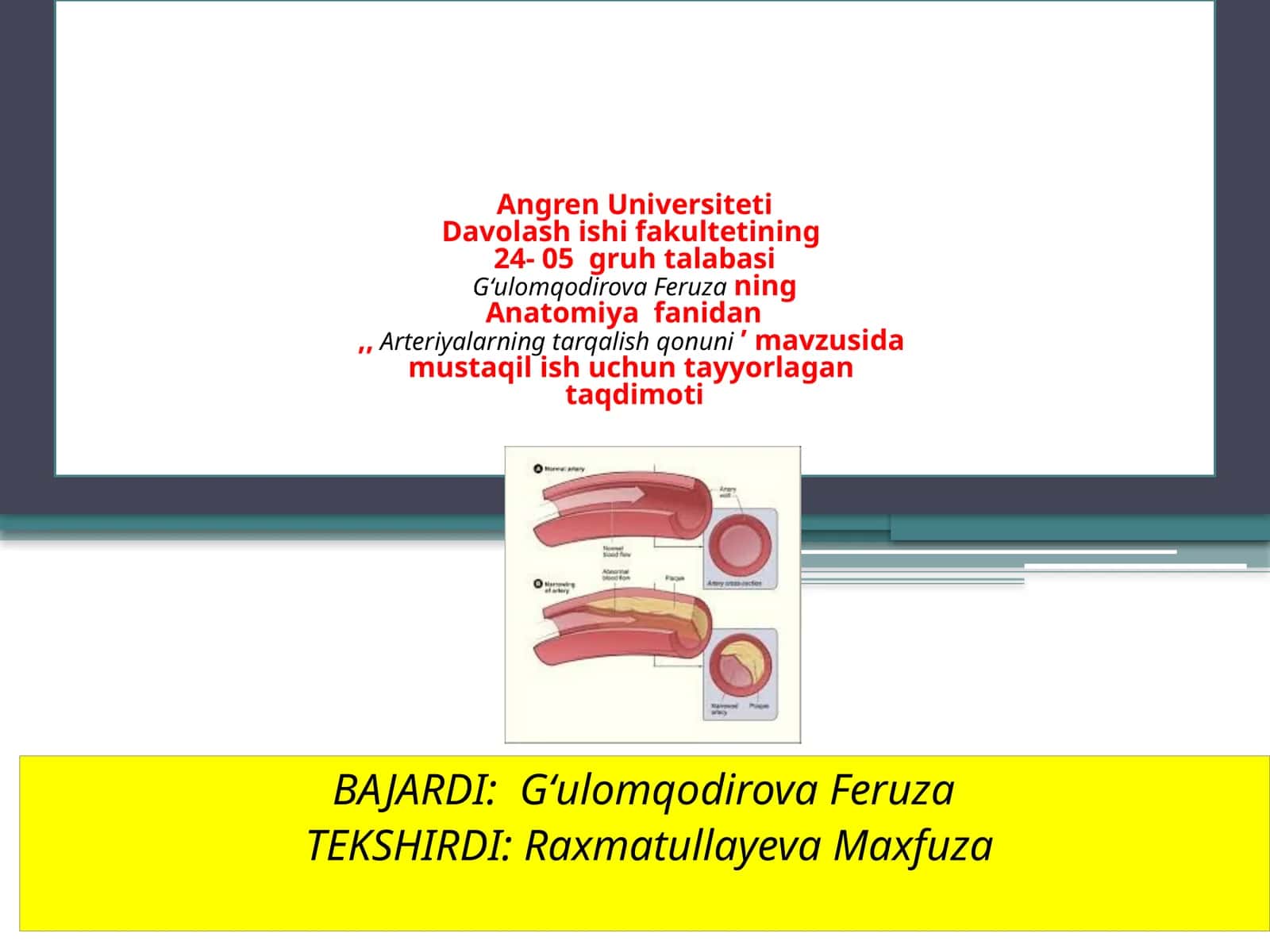 Arteriyalarning tarqalish qonuni 1