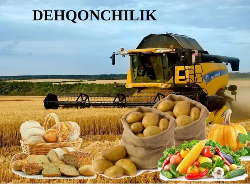 Dehqonchilik 1