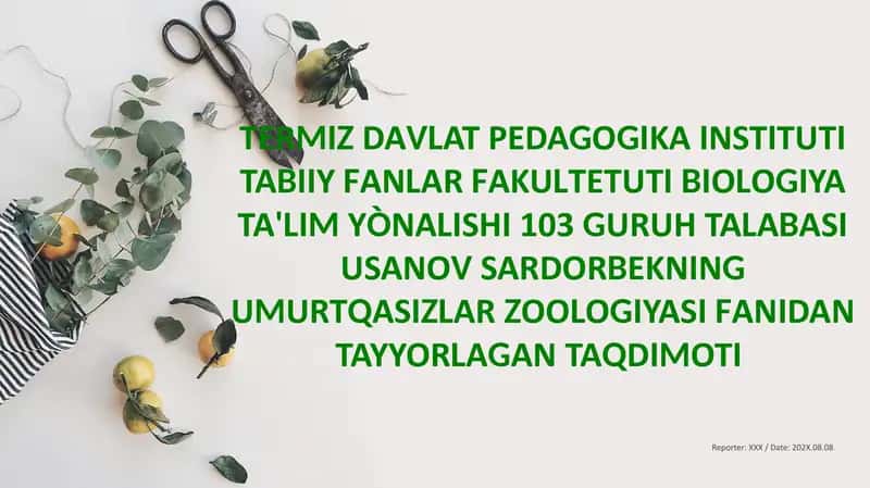 Zuluklar(Hirudinae)sinfi 1