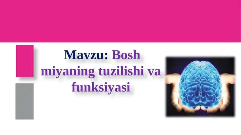 Boshmiyaning tuzilishi va funksiyasi 1