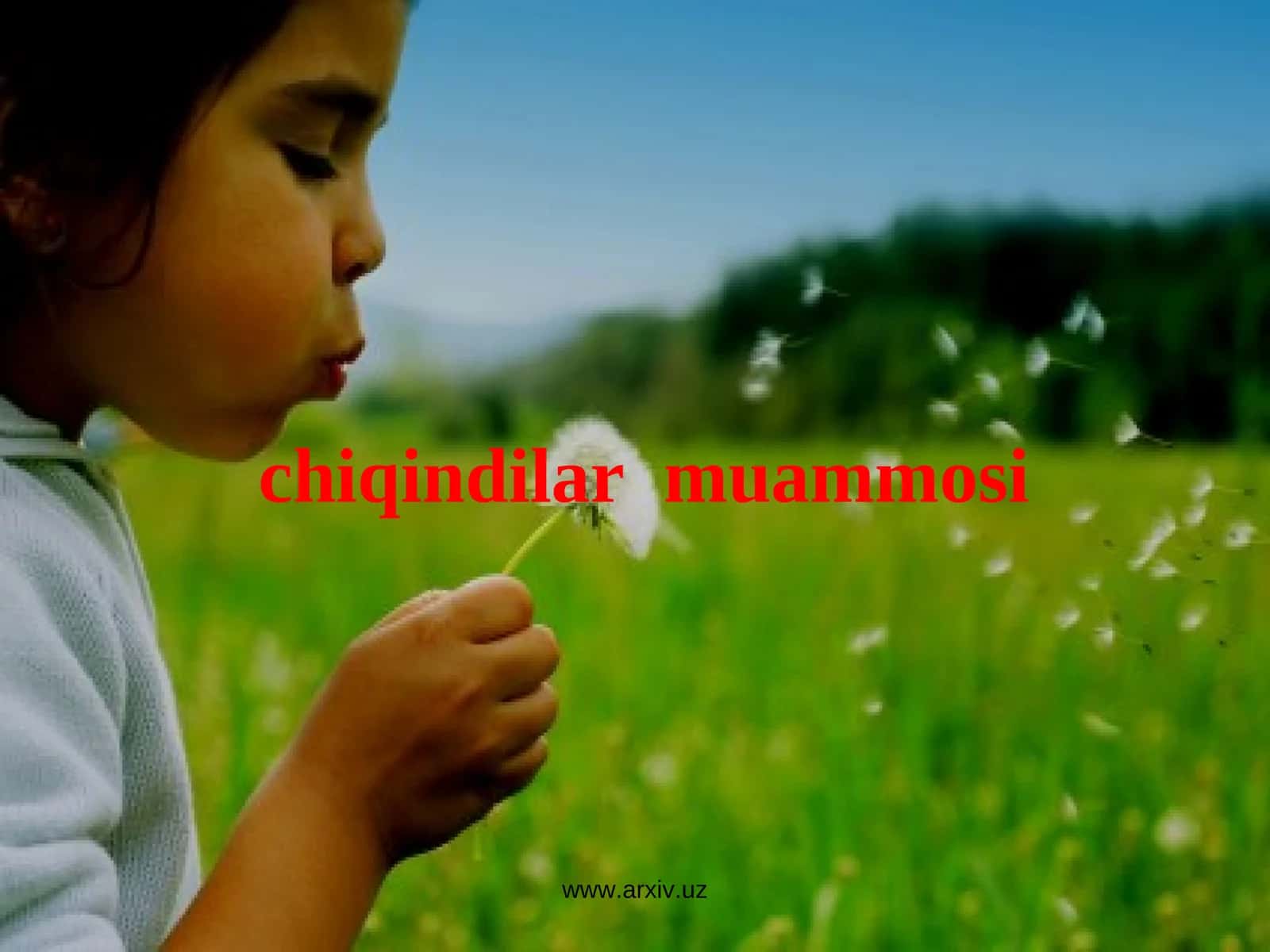 Chiqindilar Muammosi 1
