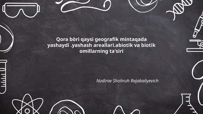 Qora bo'ri: geografik tarqalish va mintaqaviy populyatsiyalar 1