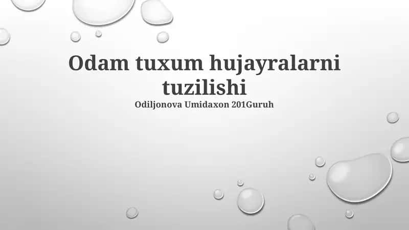 Inson tuxum hujayralarining strukturas: ER va organellalar 1
