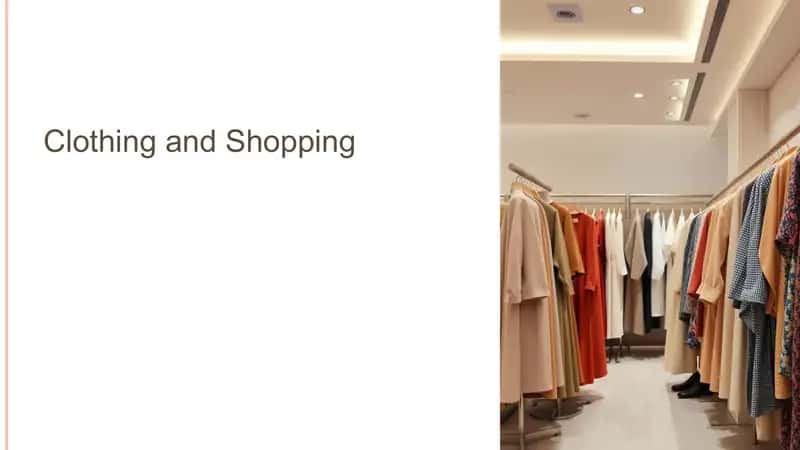 Clothing and Shopping 1