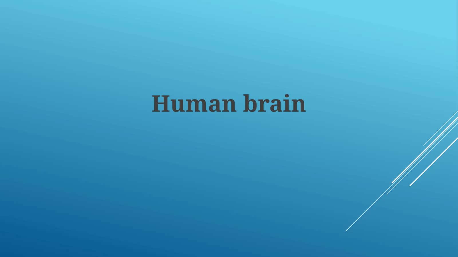 Human brain 1