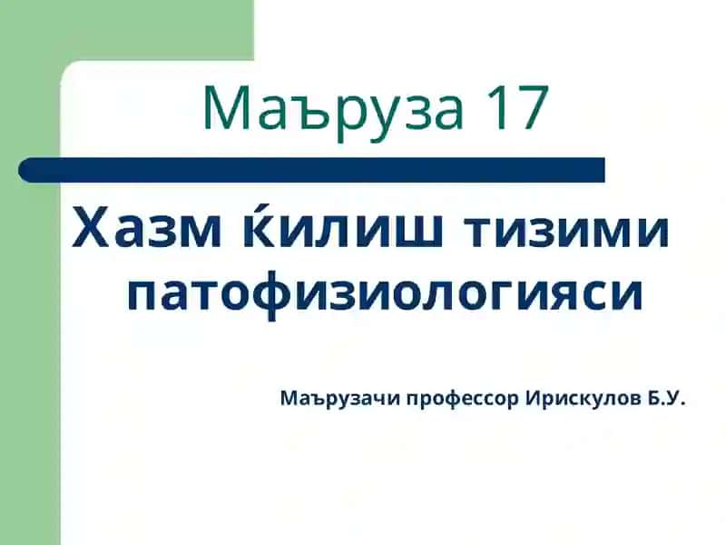 Хазм ќилиш тизими