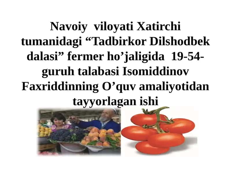 Tadbirkor Dilshodbekdalasi 1