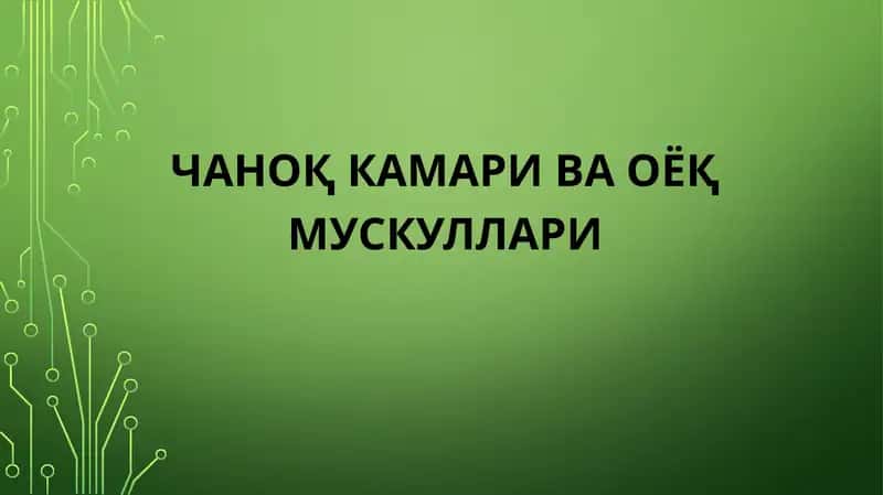 чаноқ камари ва оёқ мускуллари 1