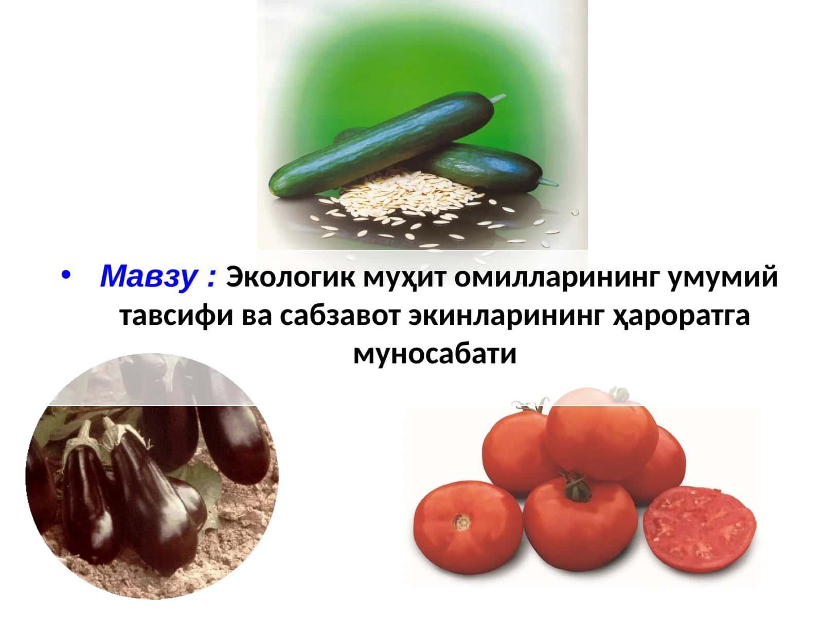 Экологик муҳит омилларининг умумий тавсифи ва сабзавот экинларининг ҳароратга муносабати 1