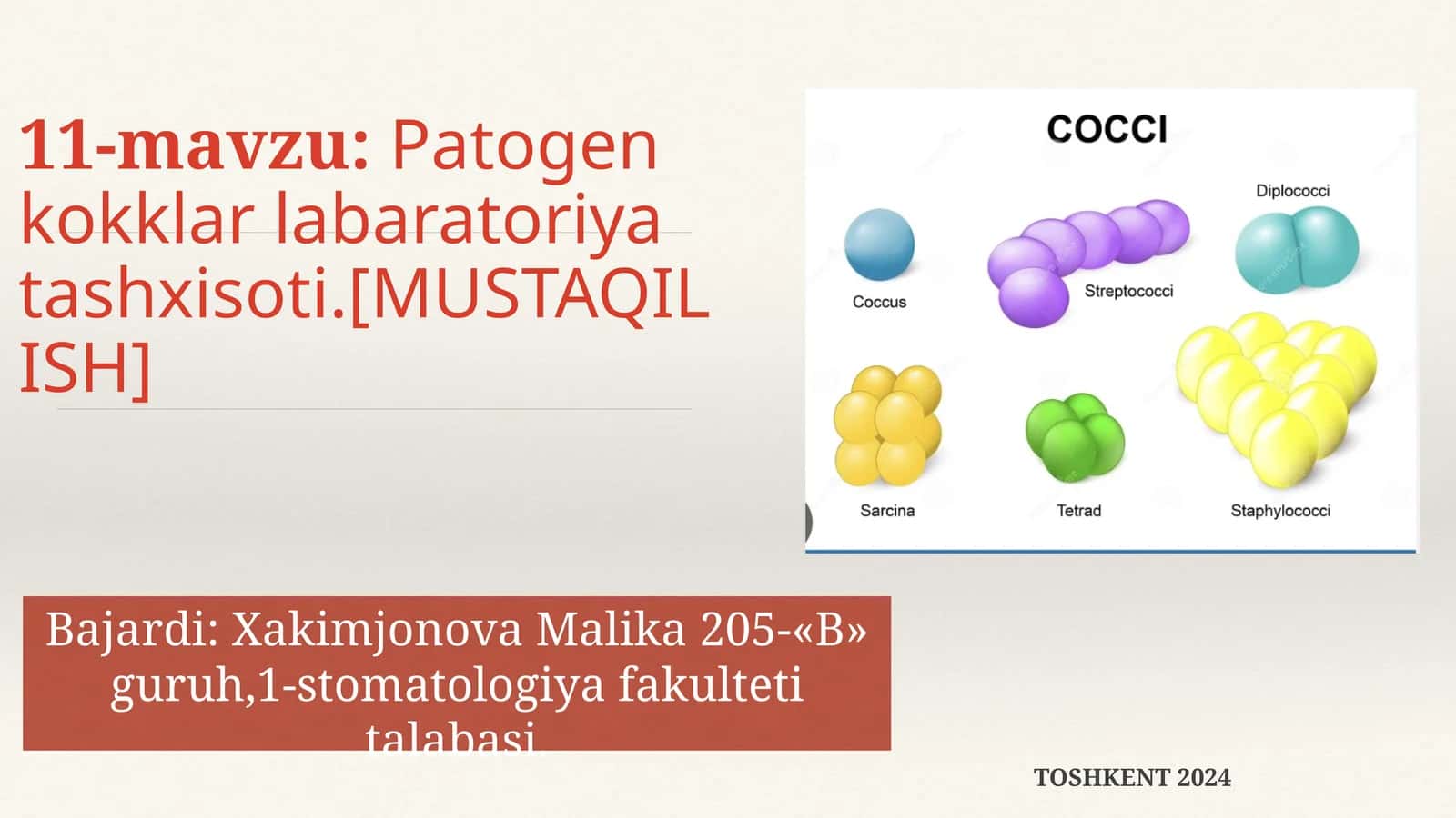 Patogen kokklar labaratoriya tashxisoti 1