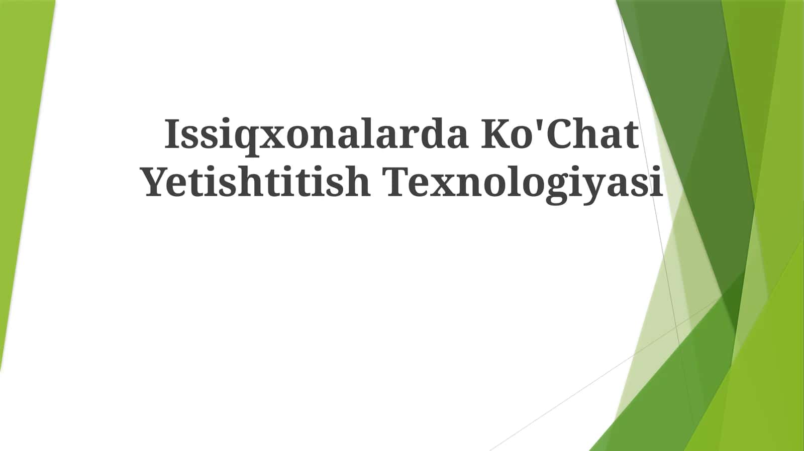 Issiqxonalarda Ko'Chat Yetishtitish Texnologiyasi 1
