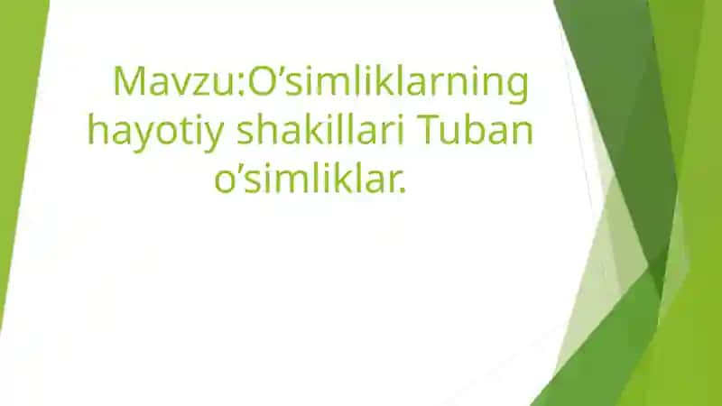 O’simliklarning hayotiy shakillari Tuban  o’simliklar