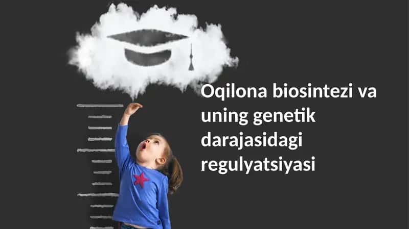 Oqilona biosintezi va uning genetik darajasidagi regulyatsiyasi 1