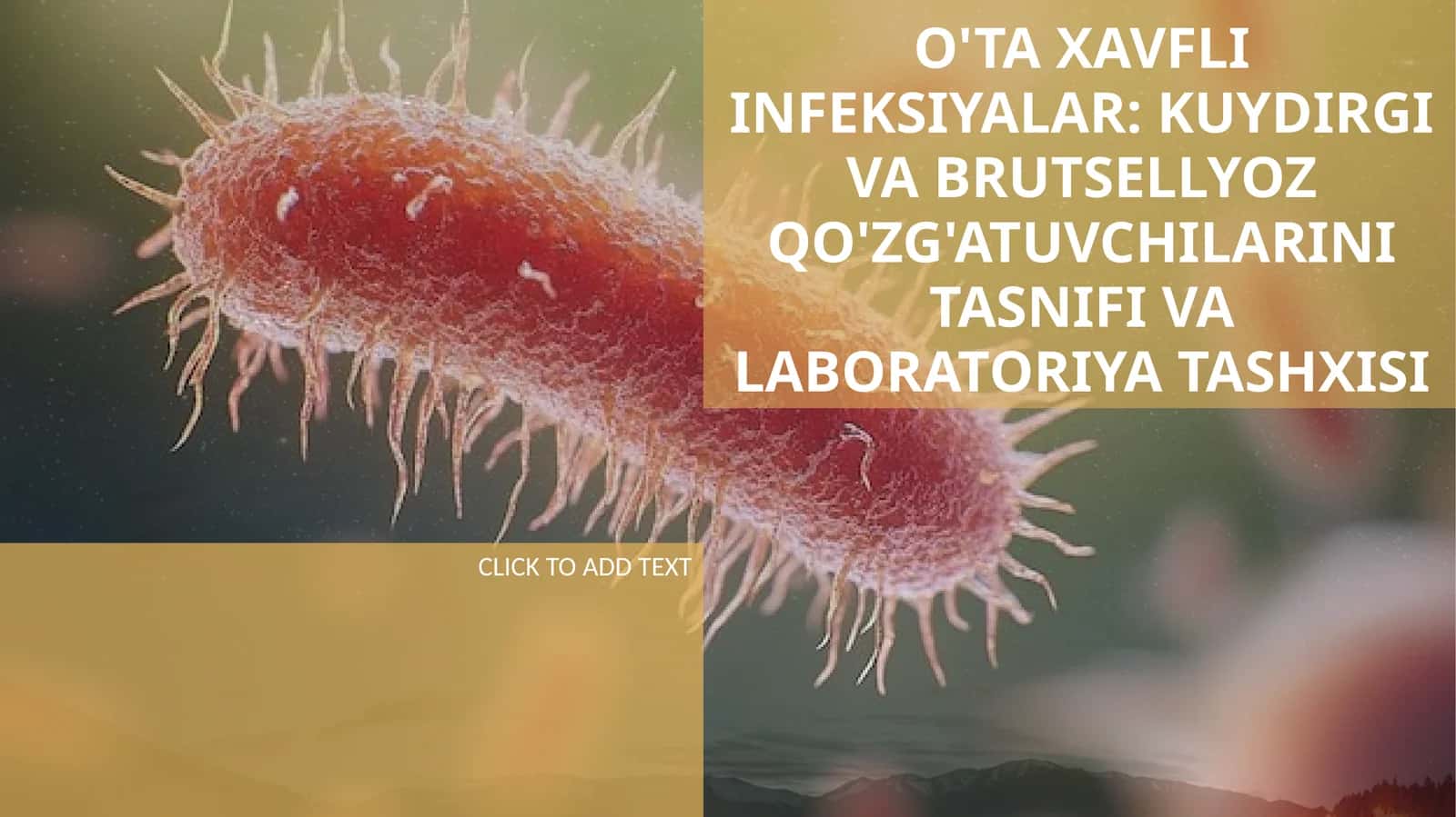 O'TA XAVFLI INFEKSIYALAR: KUYDIRGI VA BRUTSELLYOZ QO'ZG'ATUVCHILARINI TASNIFI VA LABORATORIYA TASHXISI 1