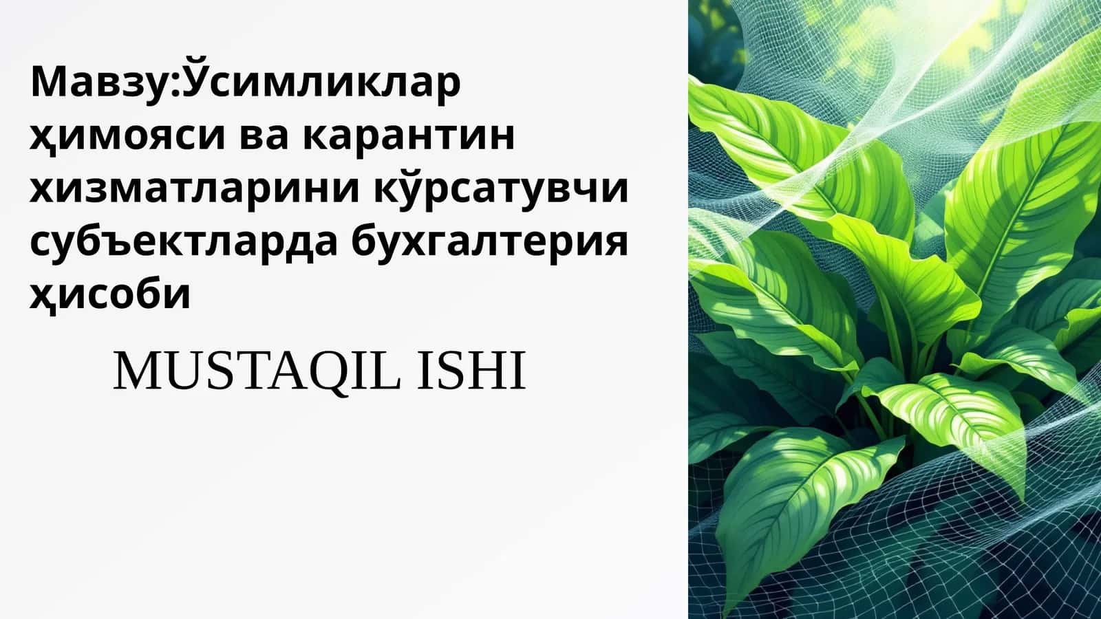 Ўсимликлар ҳимояси ва карантин хизматларини кўрсатувчи субъектларда бухгалтерия ҳисоби 1
