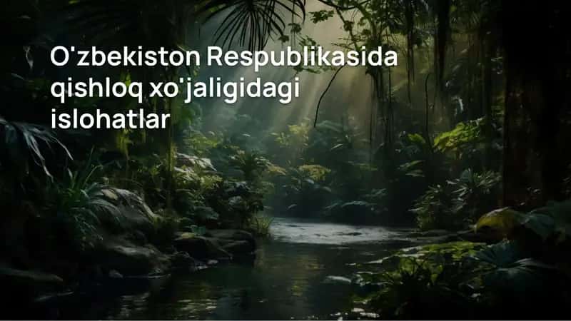 O'zbekiston Respublikasida qishloq xo'jaligidagi islohatlar 1