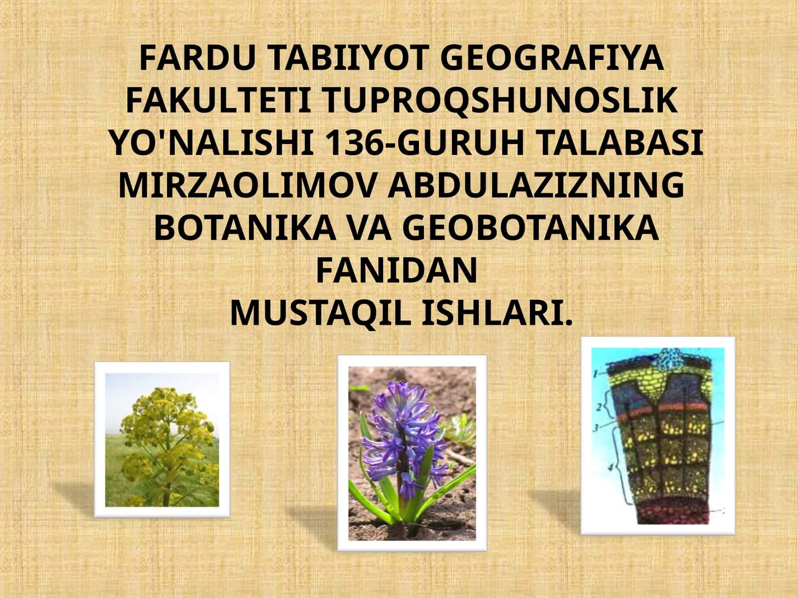 FARDU TABIIYOT GEOGRAFIYA FAULTETI 1