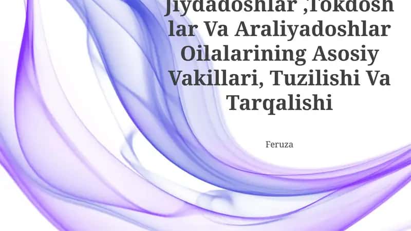 Oilalarining Asosiy Vakillari, Tuzilishi Va Tarqalishi 1