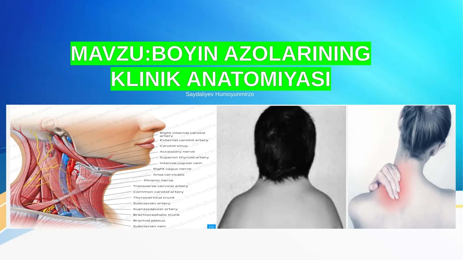 BOYIN AZOLARINING KLINIK ANATOMIYASI 1