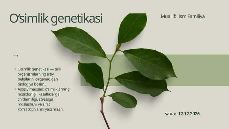 O'simlik Generatsiyasi 1