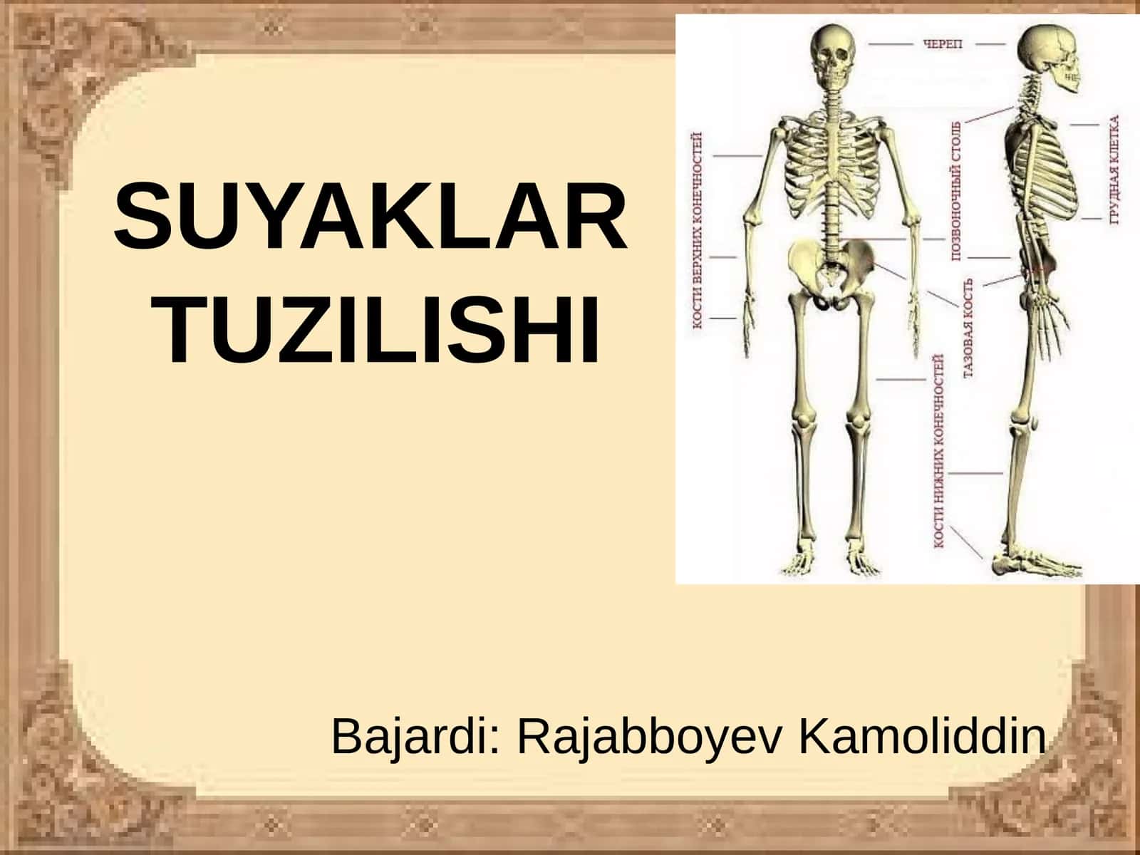 SUYAKLARTUZILISHI 1