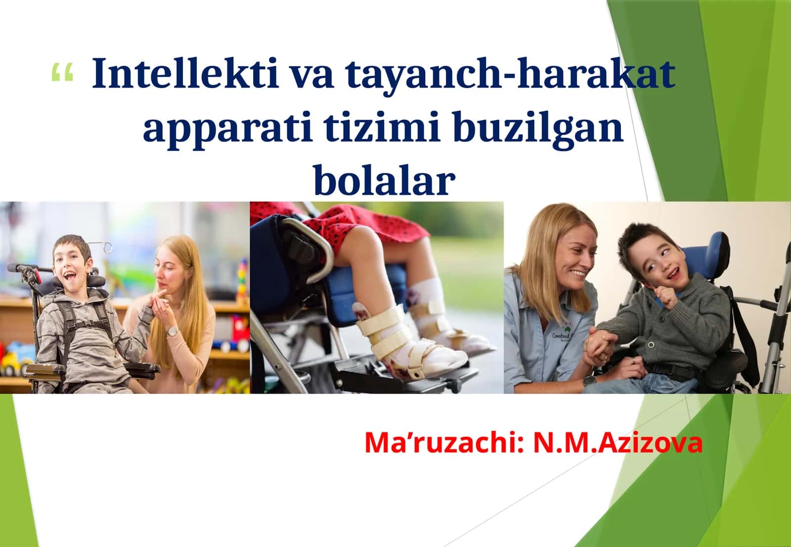 Intellektiva tayanch-harakat apparati tizimi buzilgan bolalar 1
