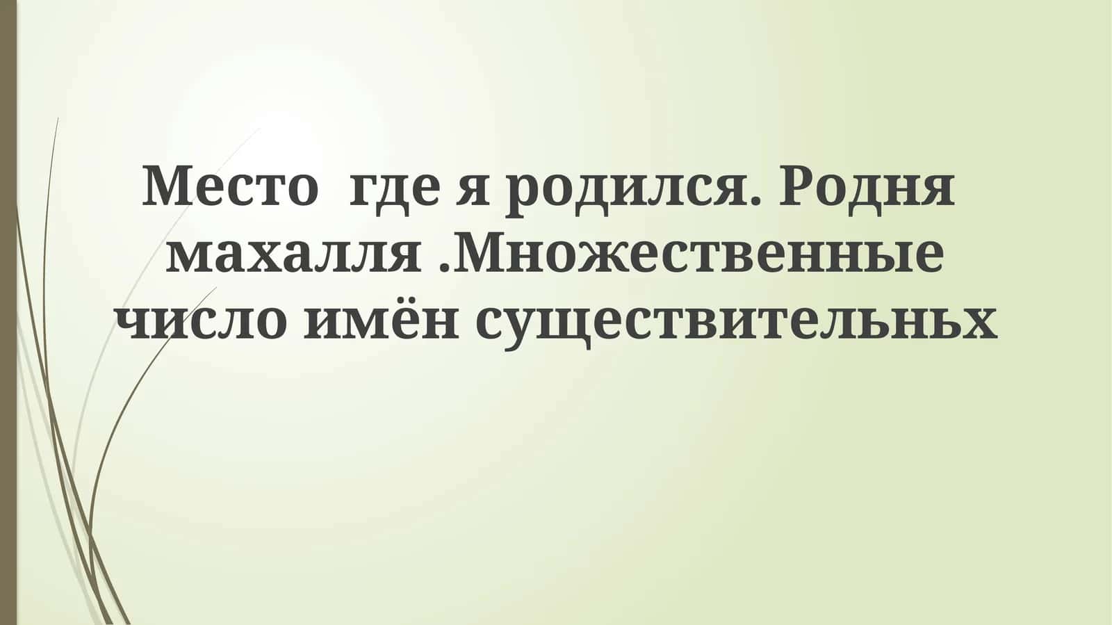 Множественное число имен существительных 1