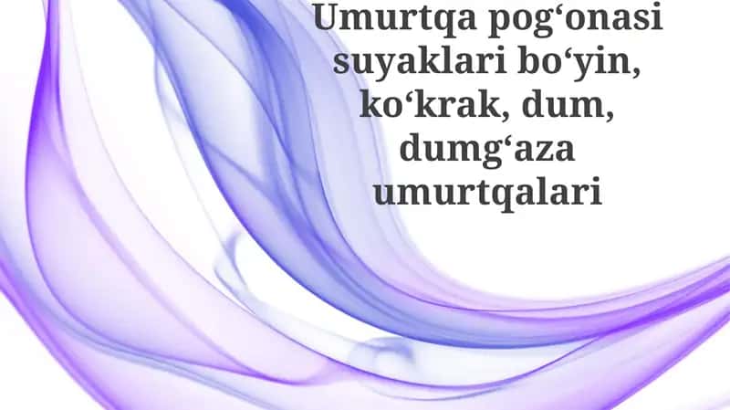Umurtqapogʻonasisuyaklariboʻyin,koʻkrak,dum,dumgʻazaumurtqalari 1