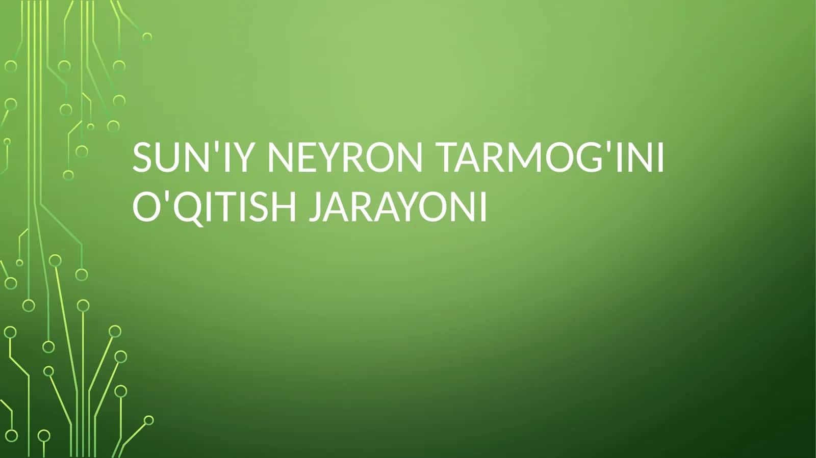 Sun'iy neyron tarmoqlarini o'qitish jarayoni 1