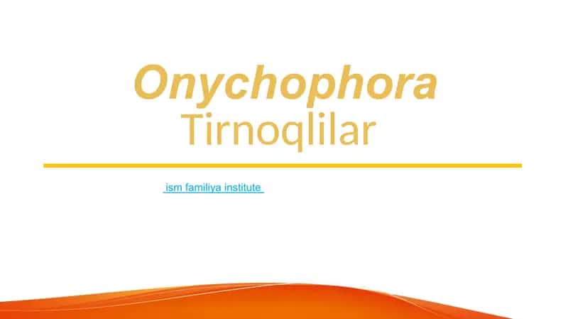 Onychophora Tirnoqlilar 1