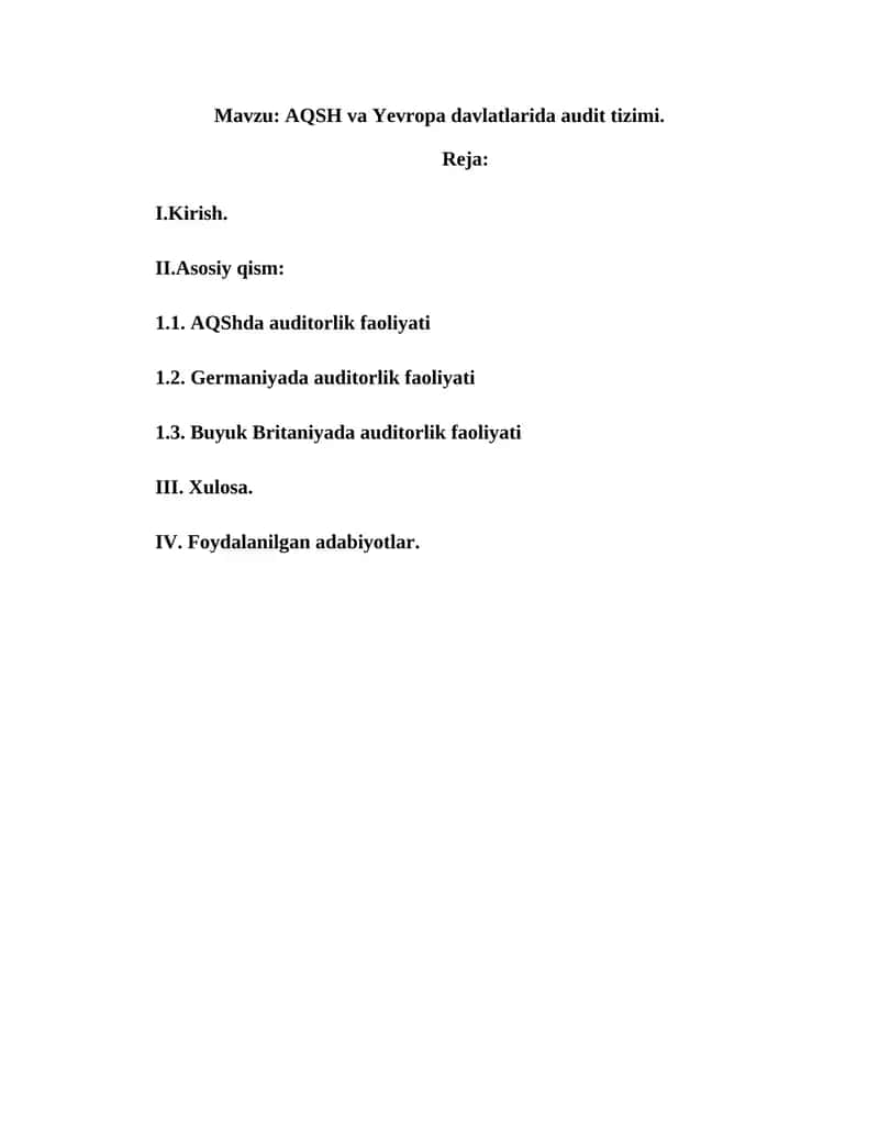 AQSH va Yevropa davlatlarida audit tizimi 1