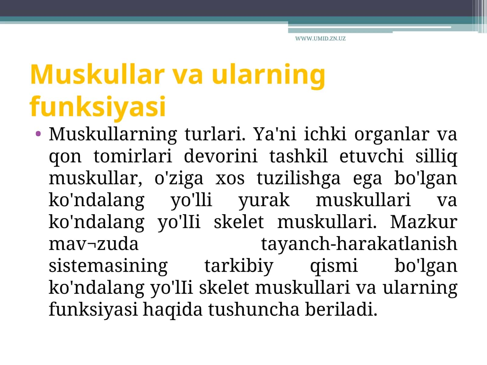 Muskullar va ularning funksiyasi 1