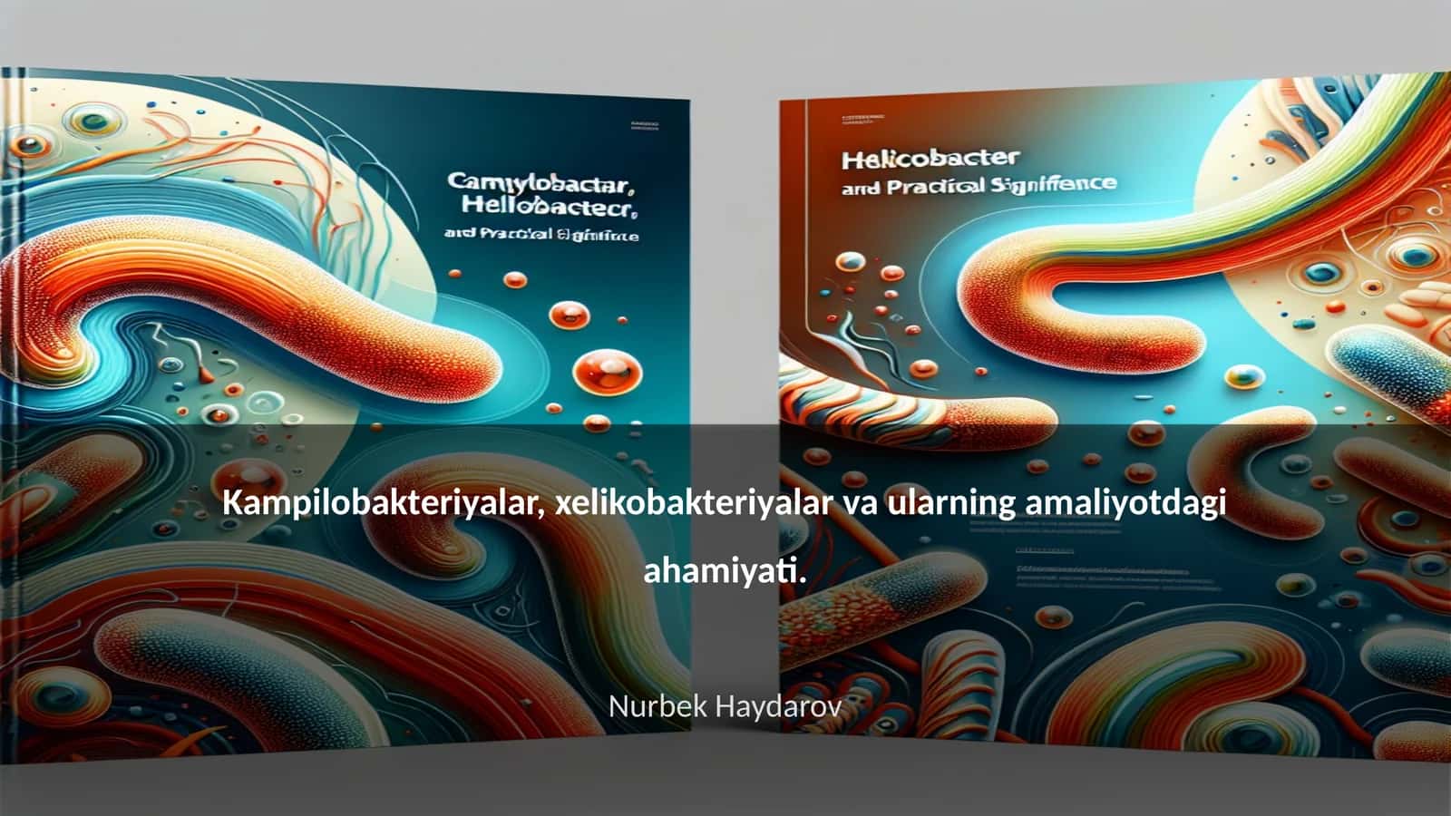 Kampilobakteriyalar, xelikobakteriyalar va ularning amaliyotdagi ahamiyati 1