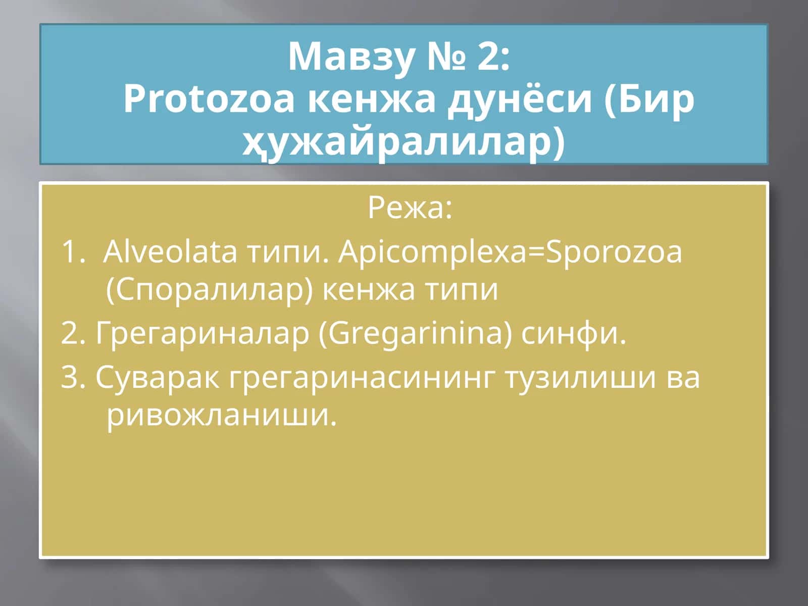 Protozoa кенжа дунёси (Бир ҳужайралилар) 1