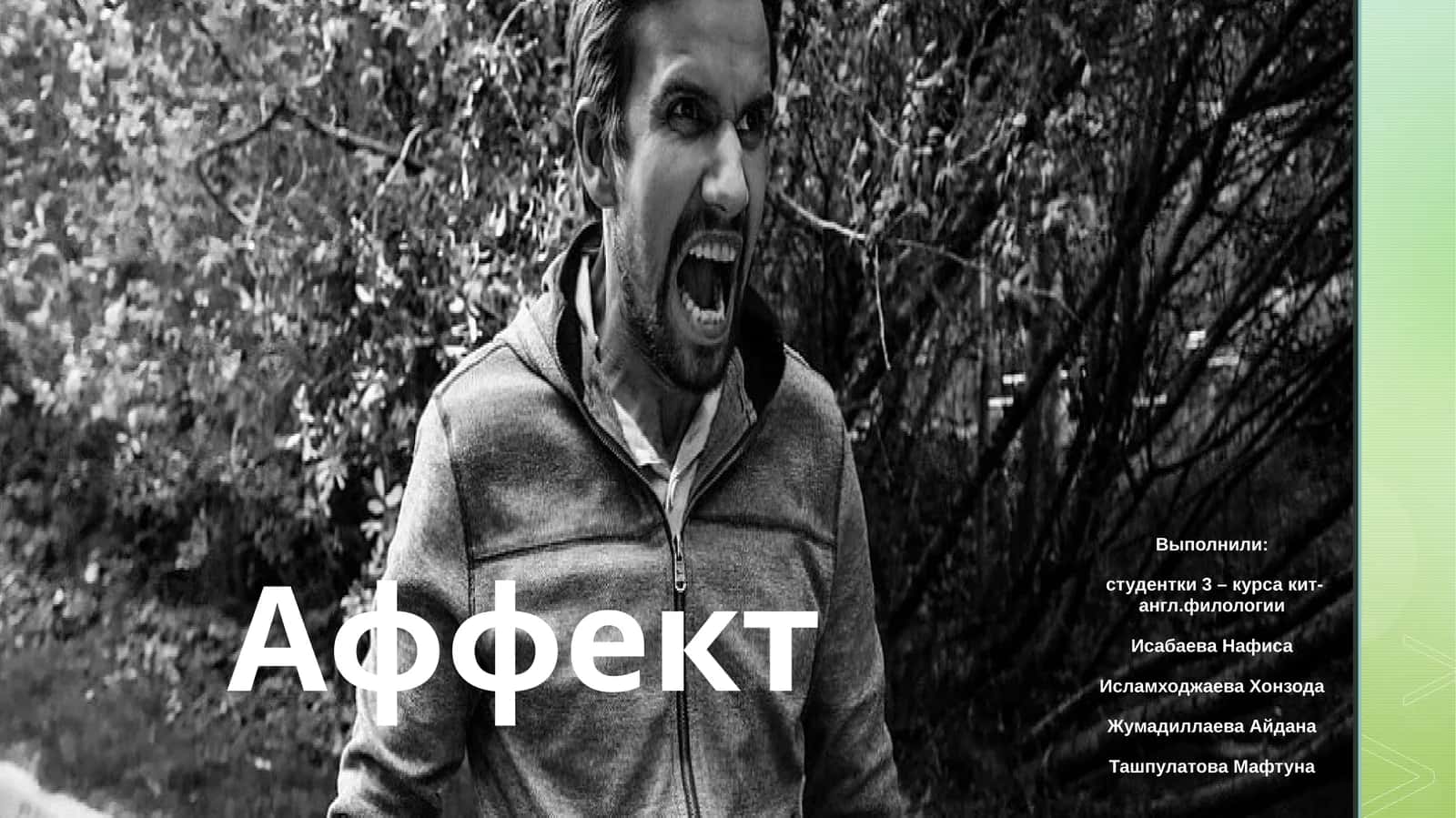 Аффект 1